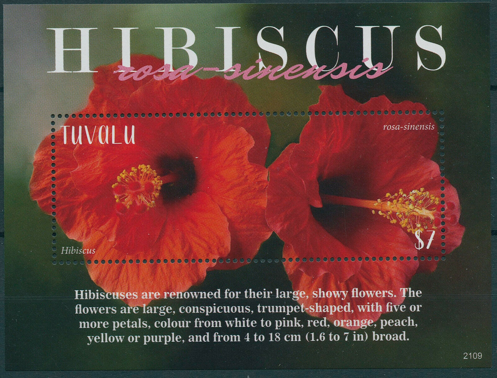 Tuvalu 2021 MNH Flowers Stamps Hibiscus Flora Rosa sinensis 1v S/S