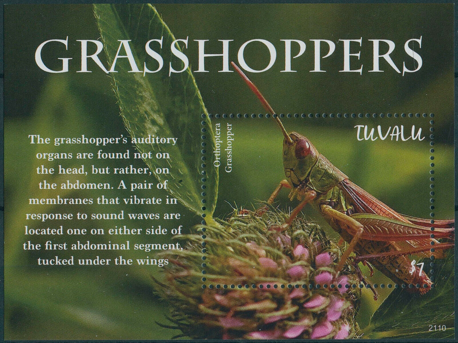 Tuvalu 2021 MNH Insects Stamps Grasshoppers Orthoptera 1v S/S