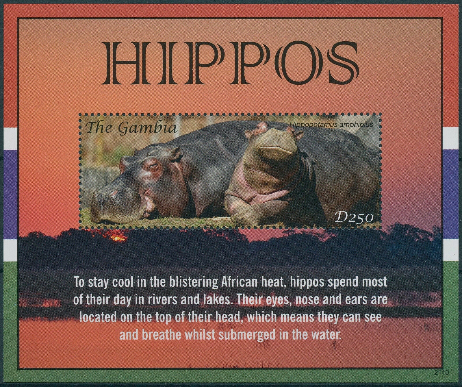 Gambia 2021 MNH Wild Animals Stamps Hippos Hippopotamus 1v S/S