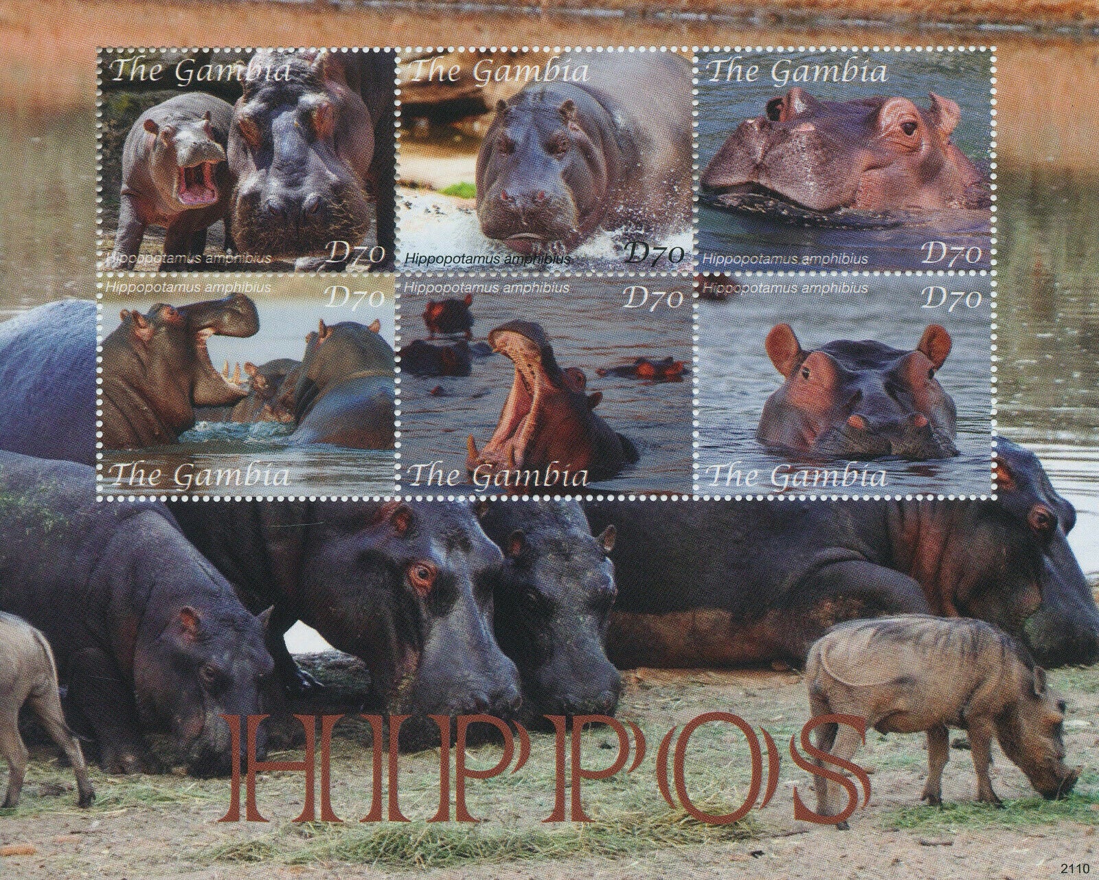 Gambia 2021 MNH Wild Animals Stamps Hippos Hippopotamus 6v M/S