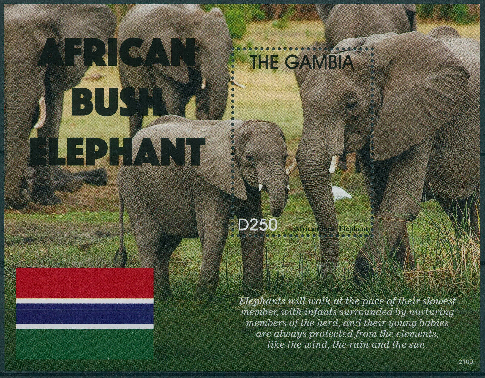 Gambia 2021 MNH Wild Animals Stamps African Bush Elephant Elephants 1v S/S