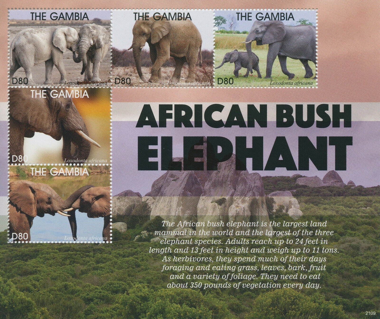 Gambia 2021 MNH Wild Animals Stamps African Bush Elephant Elephants 5v M/S