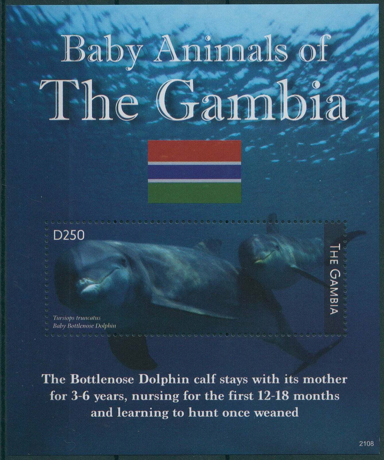 Gambia 2021 MNH Wild Animals Stamps Baby Animals Bottlenose Dolphins 1v S/S