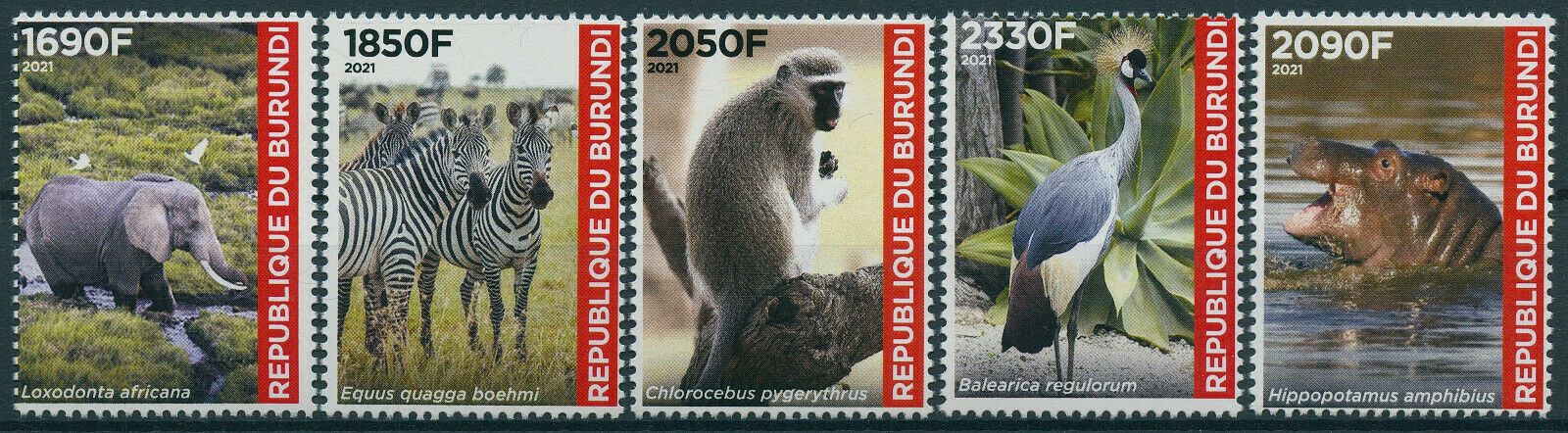 Burundi 2021 MNH Wild Animals Stamps Fauna Elephants Zebras Hippos Birds 5v Set