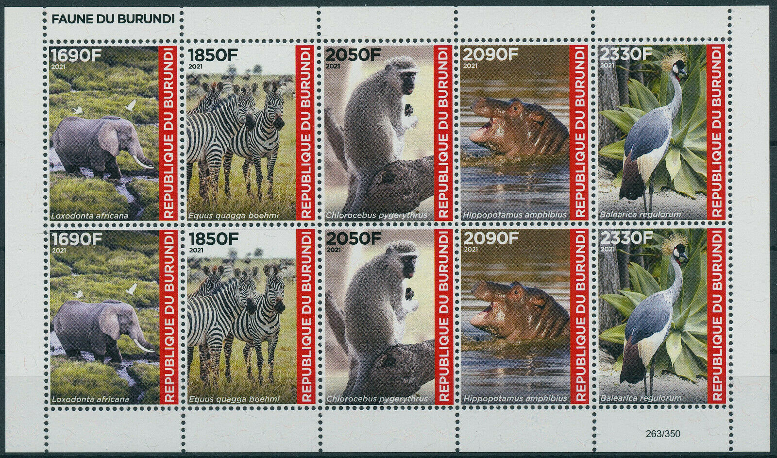 Burundi 2021 MNH Wild Animals Stamps Fauna Elephants Zebras Hippos Birds 10v M/S