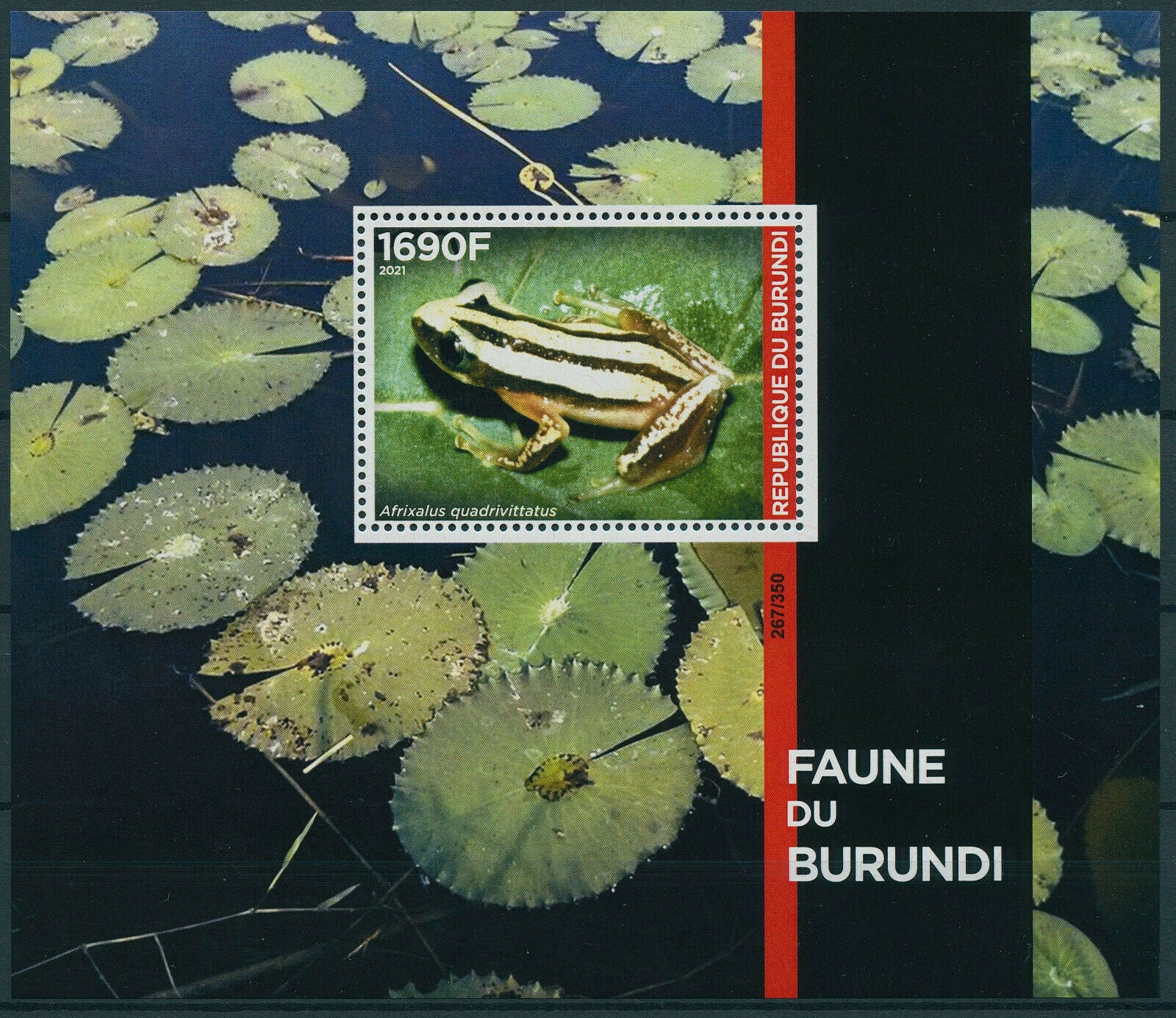 Burundi 2021 MNH Amphibians Stamps Fauna Frogs 1v Numbered M/S Limited Ed