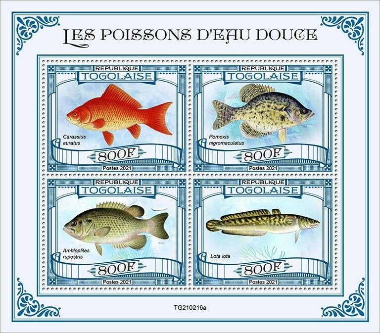 Togo 2021 MNH Freshwater Fish Stamps Fishes Goldfish Burbot Rock Bass 4v M/S