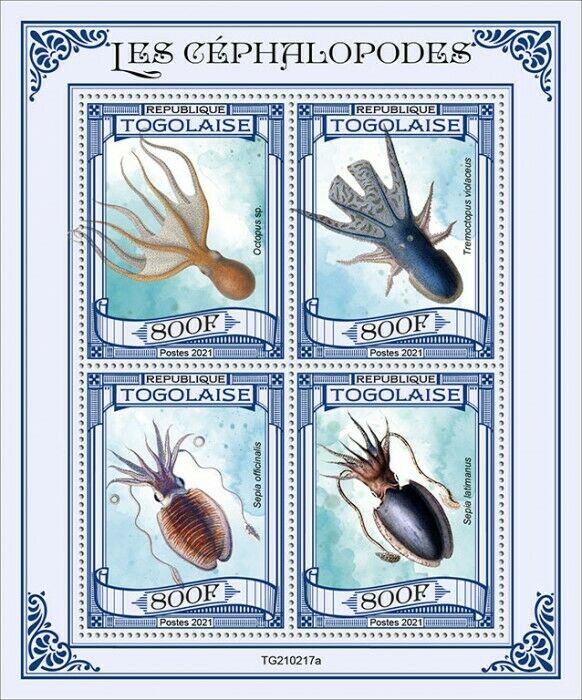 Togo 2021 MNH Marine Animals Stamps Cephalopods Squid Octopus Cuttlefish 4v M/S