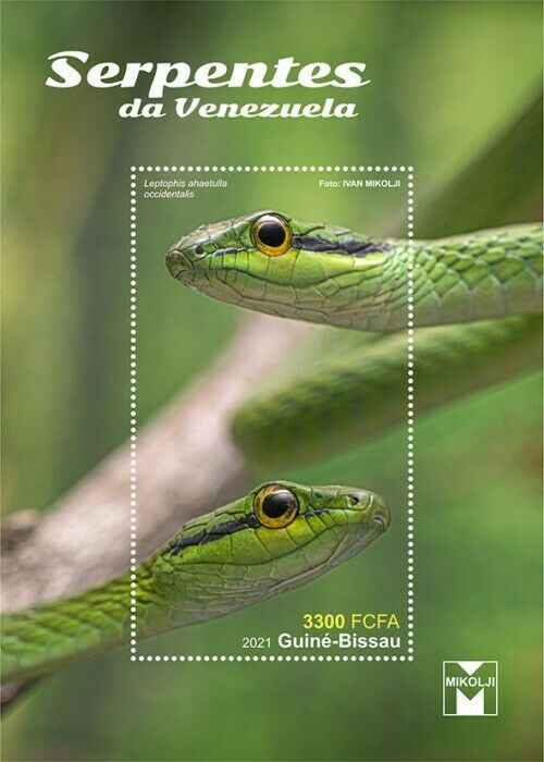 Guinea-Bissau 2021 MNH Reptiles Stamps Snakes of Venezuela 1v S/S II