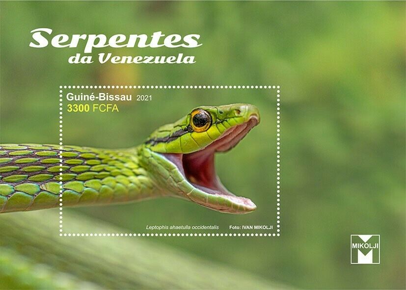Guinea-Bissau 2021 MNH Reptiles Stamps Snakes of Venezuela 1v S/S I