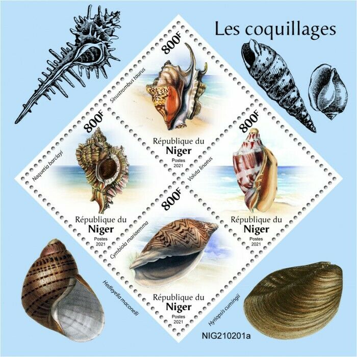 Niger 2021 MNH Seashells Stamps Sea Shells Cymbiola Voluta Marine 4v M/S