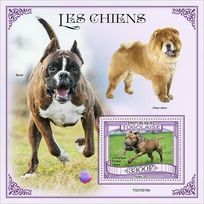 Togo 2021 MNH Dogs Stamps American Pit Bull Terrier Chow Chow 1v S/S