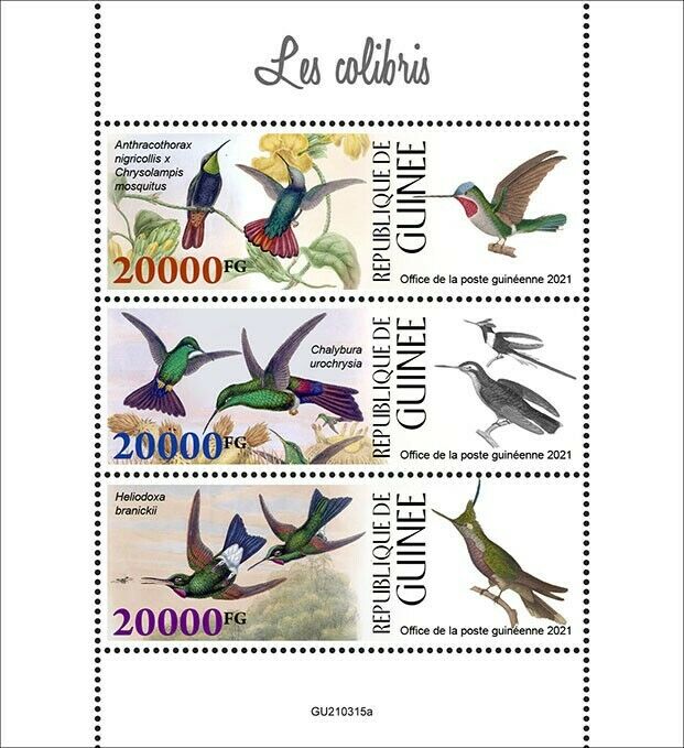 Guinea 2021 MNH Birds on Stamps Hummingbirds Hummingbird 3v M/S