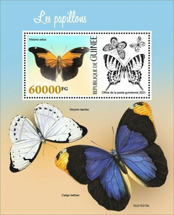 Guinea 2021 MNH Butterflies Stamps Orion Cecropian Butterfly White Morpho 1v S/S