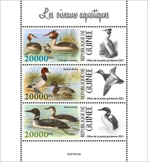 Guinea 2021 MNH Water Birds on Stamps Ducks Grebes Loons 3v M/S