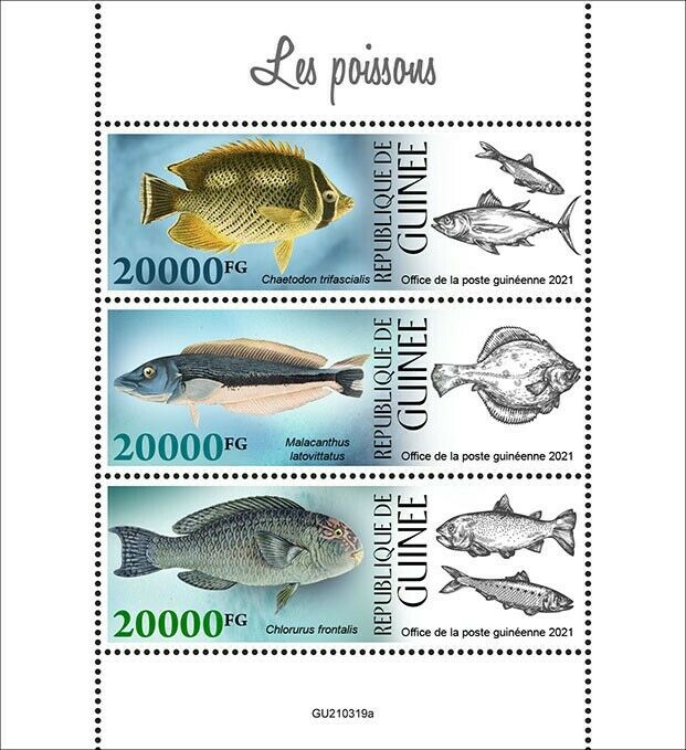Guinea 2021 MNH Fish Stamps Fishes Butterflyfish Blanquillo Parrotfish 3v M/S