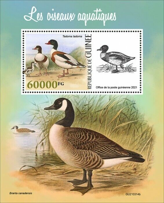 Guinea 2021 MNH Water Birds on Stamps Ducks Shellduck Geese Canada Goose 1v S/S