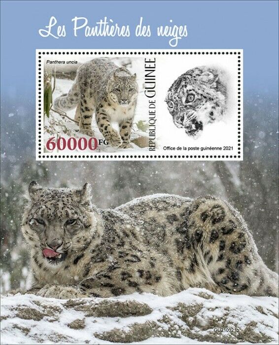Guinea 2021 MNH Wild Animals Stamps Leopards Snow Leopard Big Cats Fauna 1v S/S