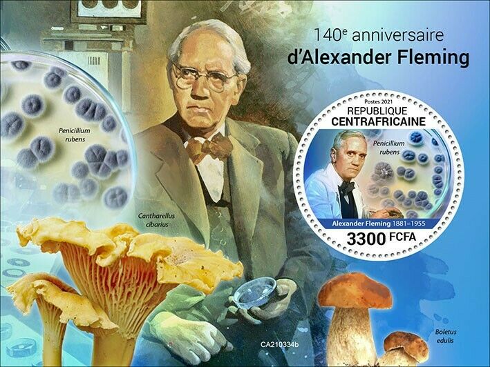 Central African Rep 2021 MNH Mushrooms Stamps Alexander Fleming Science 1v S/S