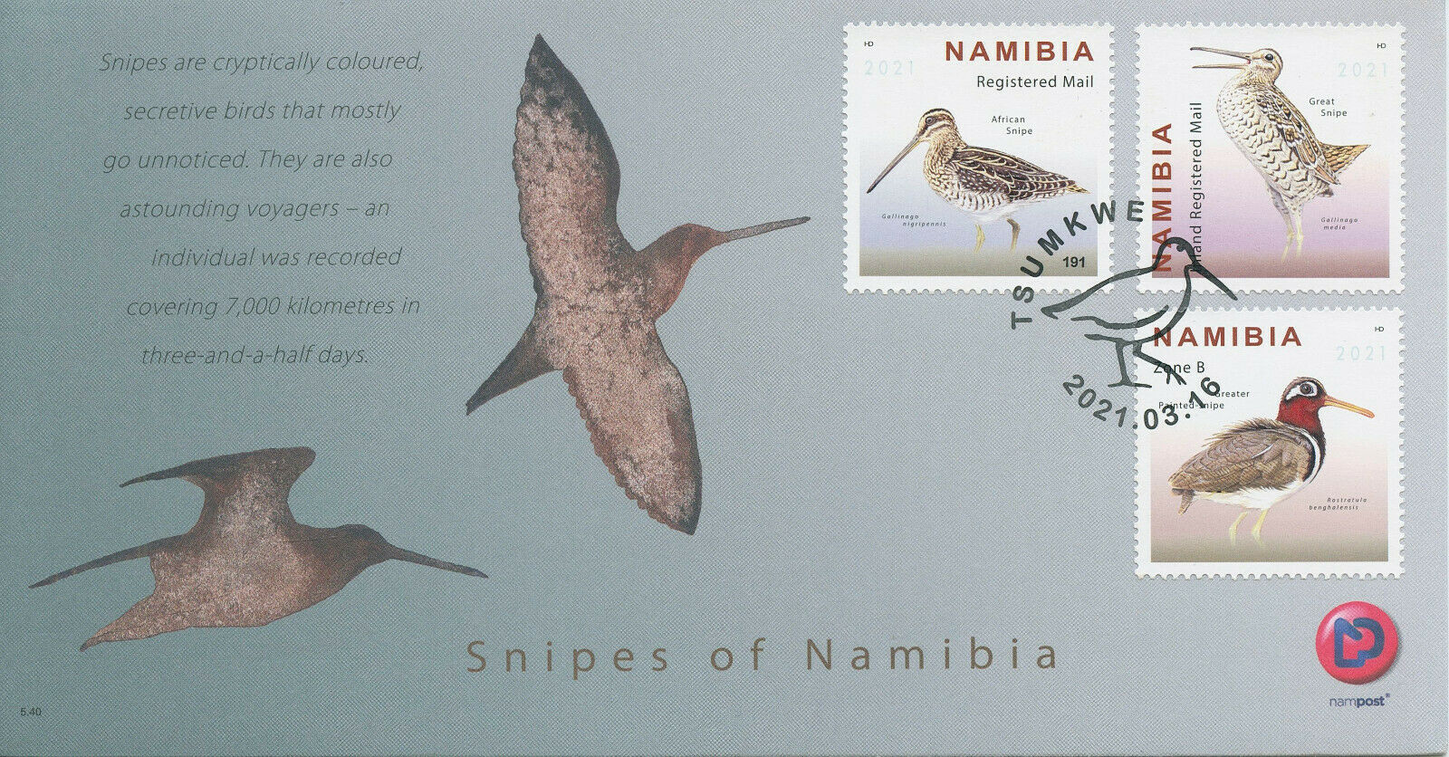 Namibia 2021 FDC Birds on Stamps Snipes Great African Snipe 3v Set
