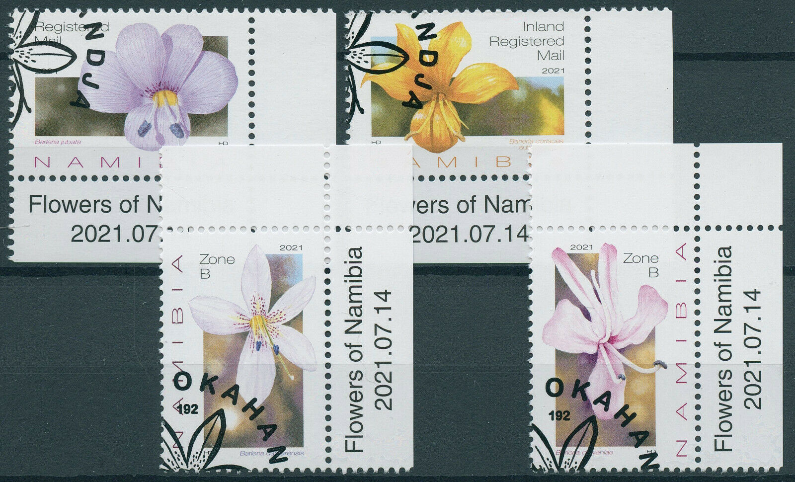 Namibia 2021 CTO Flora Stamps Barleria Flowers of Namibia Nature 4v Set