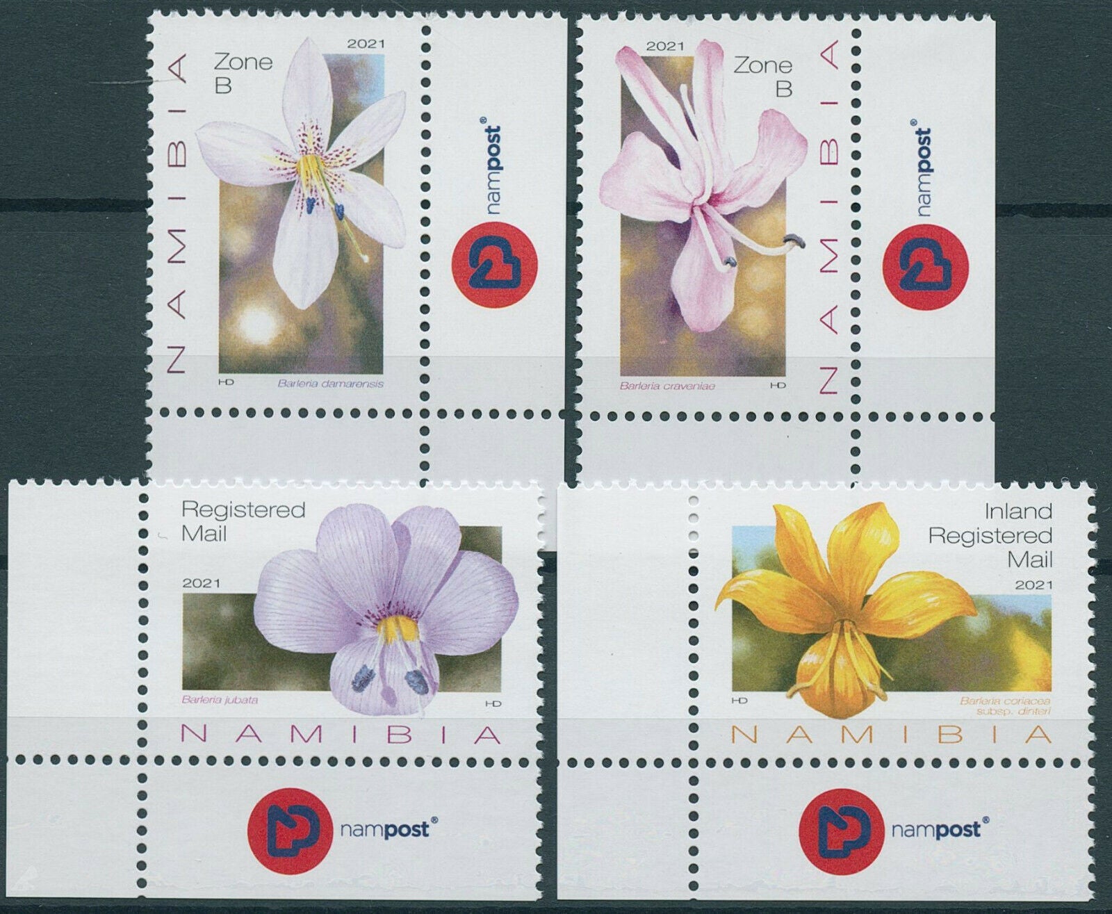 Namibia 2021 MNH Flora Stamps Barleria Flowers of Namibia Nature 4v Set