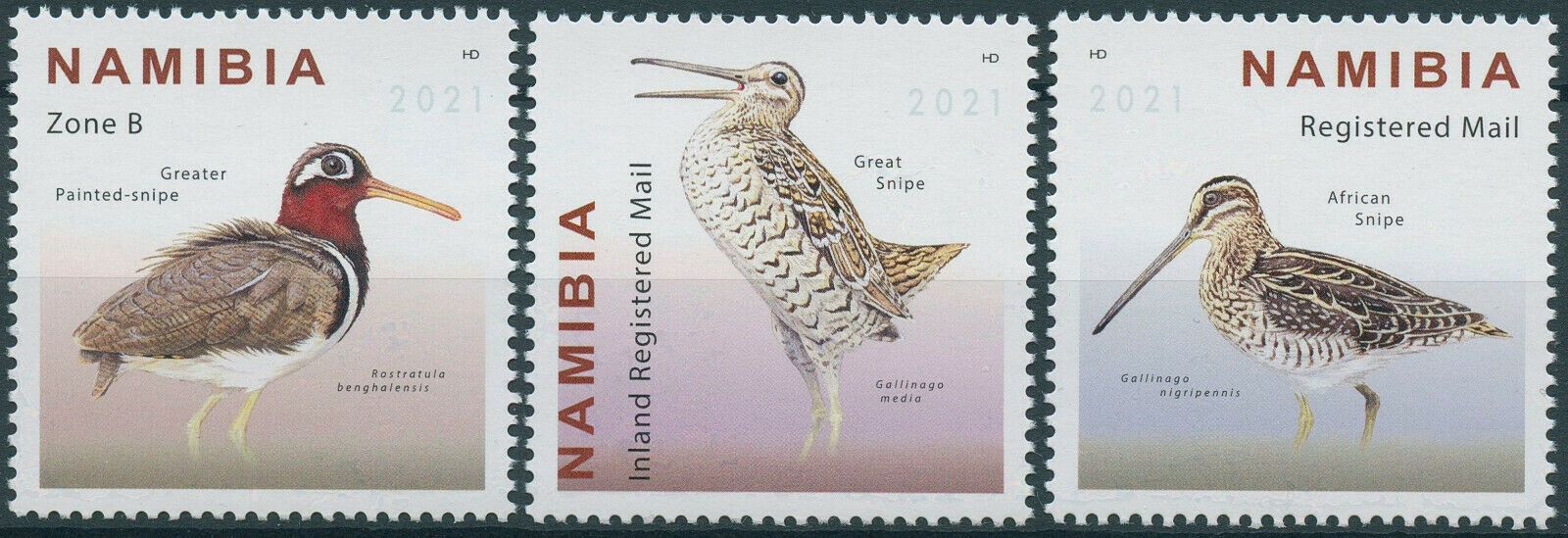 Namibia 2021 MNH Birds on Stamps Snipes Great African Snipe 3v Set