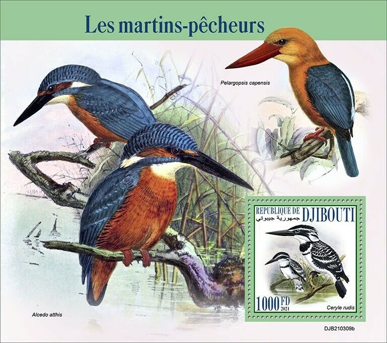 Djibouti 2021 MNH Birds on Stamps Kingfishers Pied Kingfisher 1v S/S