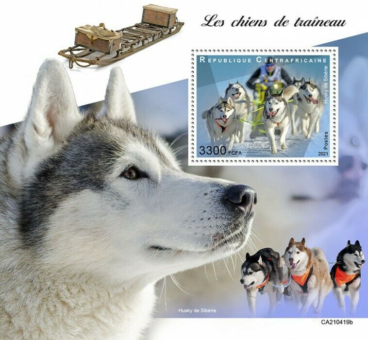 Central African Rep 2021 MNH Sled Dogs Stamps Siberian Huskies Dog 1v S/S