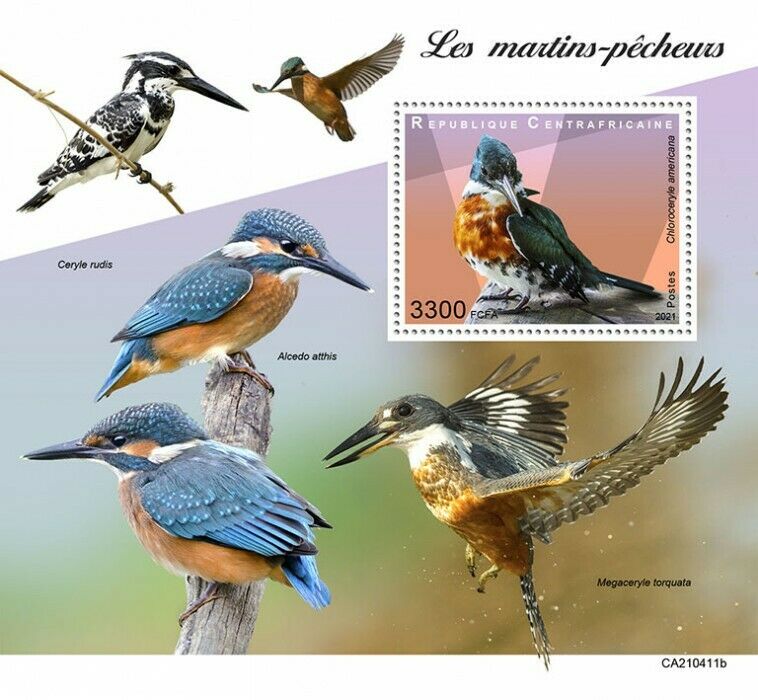 Central African Rep 2021 MNH Birds on Stamps Kingfishers Kingfisher 1v S/S