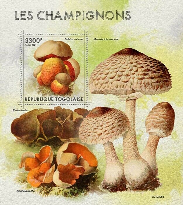 Togo 2021 MNH Mushrooms Stamps Boletus Fungi Nature 1v S/S