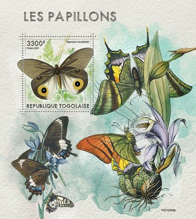 Togo 2021 MNH Butterflies Stamps Big Eyed Jungle Lady Butterfly 1v S/S