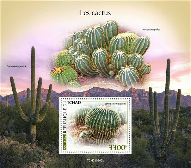 Chad 2021 MNH Plants Stamps Cactus Echinocactus Cacti Nature 1v S/S