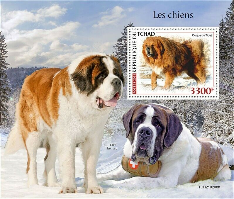 Chad 2021 MNH Dogs Stamps Tibetan Mastiff St Bernard Dog 1v S/S