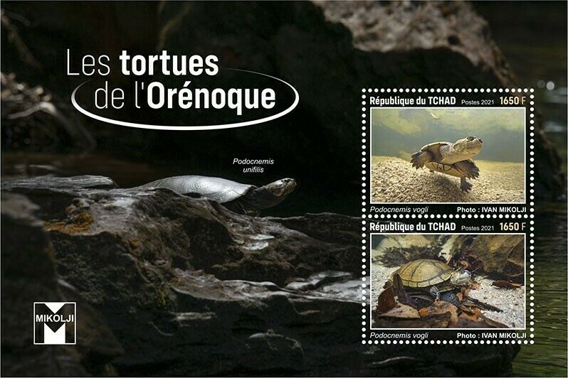Chad 2021 MNH Reptiles Stamps Orinoco Turtles Turtle 2v S/S I