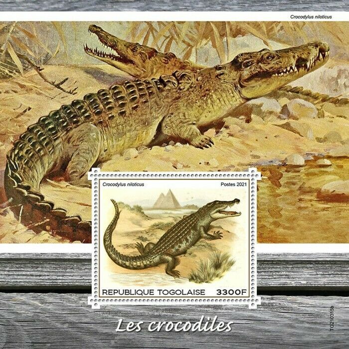 Togo 2021 MNH Crocodiles Stamps Nile Crocodile Reptiles 1v S/S