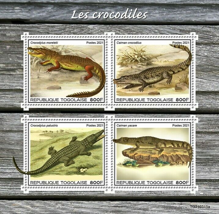 Togo 2021 MNH Crocodiles Stamps Caiman Crocodile Reptiles 4v M/S