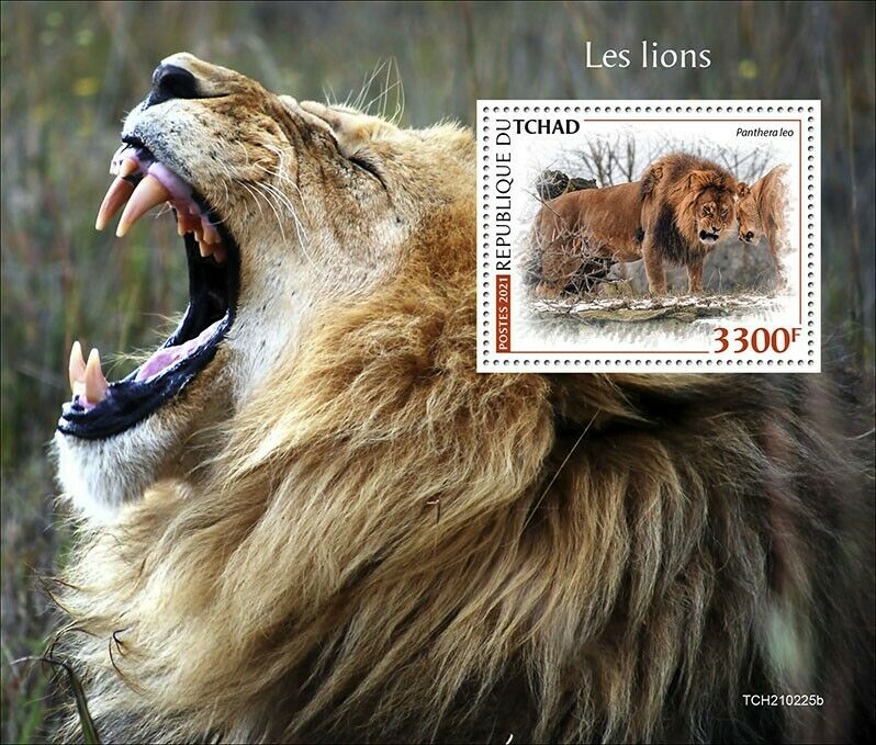 Chad 2021 MNH Wild Animals Stamps Lions Big Cats Lion Fauna 1v S/S