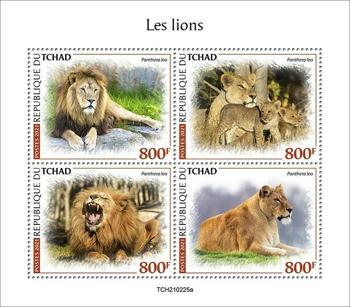 Chad 2021 MNH Wild Animals Stamps Lions Big Cats Lion Fauna 4v M/S