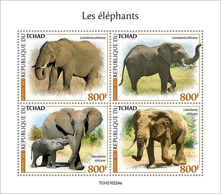 Chad 2021 MNH Wild Animals Stamps Elephants African Bush Elephant 4v M/S