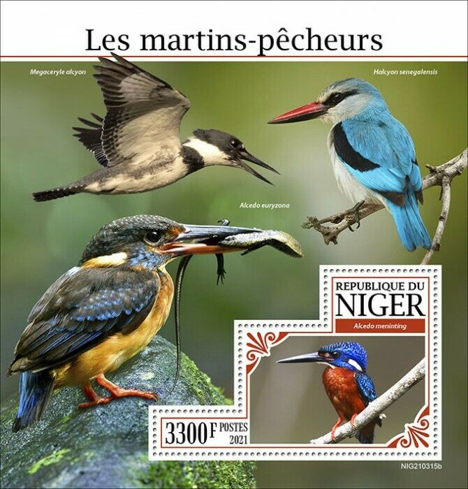 Niger 2021 MNH Birds on Stamps Kingfishers Blue-Eared Kingfisher 1v S/S