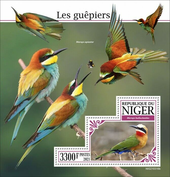 Niger 2021 MNH Birds on Stamps Bee-Eaters Bee-Eater 1v S/S