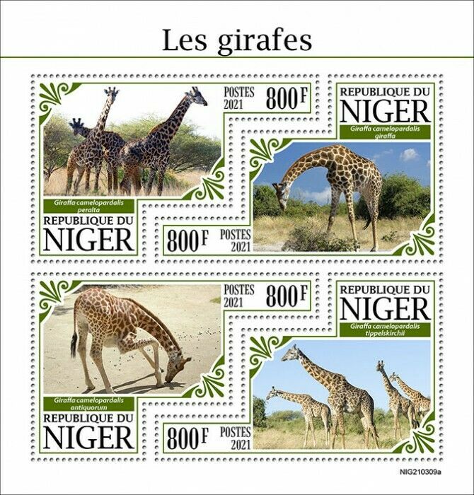 Niger 2021 MNH Wild Animals Stamps Giraffes Giraffe 4v M/S