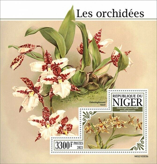 Niger 2021 MNH Flowers Stamps Orchids Odontoglossum Orchid Flora Nature 1v S/S
