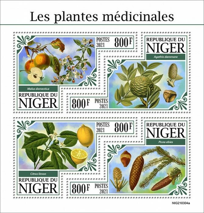 Niger 2021 MNH Medicinal Plants Stamps Apples Lemons Norway Spruce Fruits 4v M/S