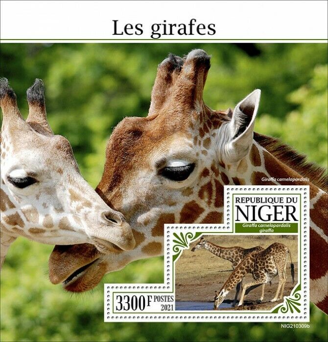 Niger 2021 MNH Wild Animals Stamps Giraffes Giraffe 1v S/S