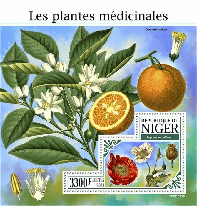 Niger 2021 MNH Medicinal Plants Stamps Opium Poppy Poppies Oranges Fruits 1v S/S
