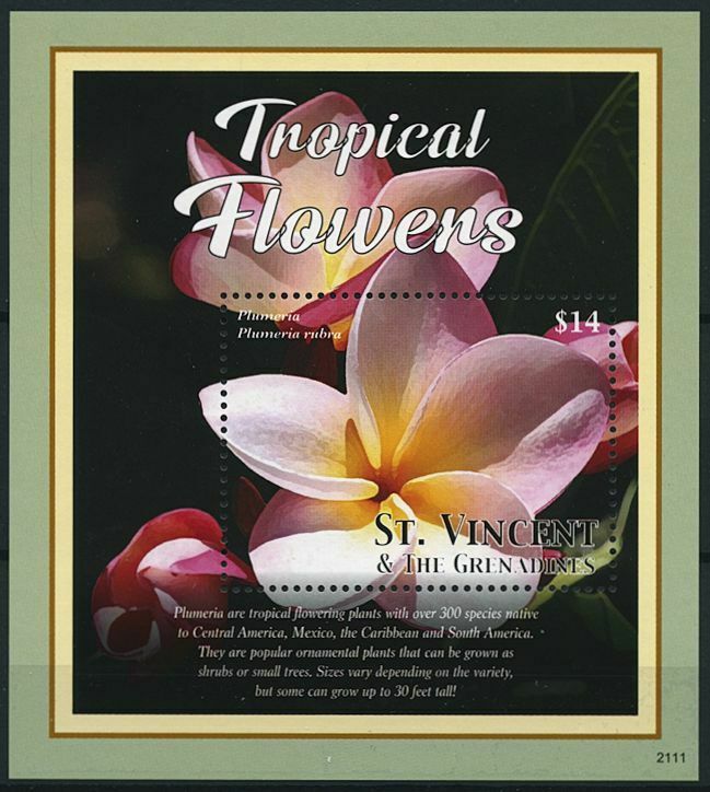 St Vincent & Grenadines 2021 MNH Tropical Flowers Stamps Plumeria Flora 1v S/S