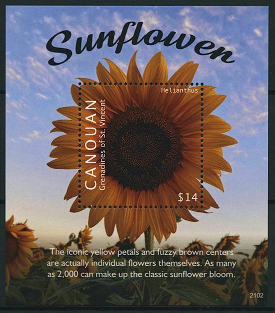 Canouan Gren St Vincent 2021 MNH Flowers Stamps Sunflowers Sunflower 1v S/S