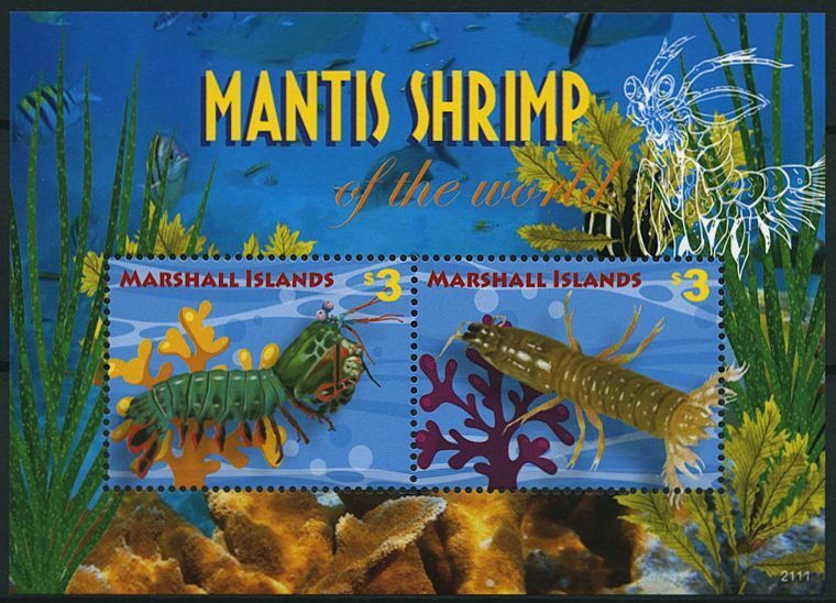 Marshall Islands 2021 MNH Marine Animals Stamps Mantis Shrimp of World 2v S/S